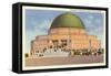 Alder Planetarium, Chicago, Illinois-null-Framed Stretched Canvas