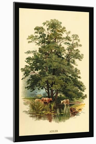 Alder Tree-W.h.j. Boot-Mounted Art Print