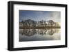 Alder Trees (Alnus Hirsuta) Silhouetted and Reflected in River Spey in Winter, Cairngorms Np, UK-Mark Hamblin-Framed Photographic Print