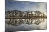 Alder Trees (Alnus Hirsuta) Silhouetted and Reflected in River Spey in Winter, Cairngorms Np, UK-Mark Hamblin-Mounted Photographic Print