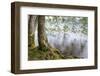 Alder Trees over Lake Crescent, Olympic National Park, Washington, USA-Jaynes Gallery-Framed Photographic Print