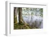 Alder Trees over Lake Crescent, Olympic National Park, Washington, USA-Jaynes Gallery-Framed Photographic Print