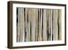 Alder-Susan Jill-Framed Art Print