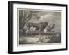 Alderney Cattle-James Ward-Framed Giclee Print