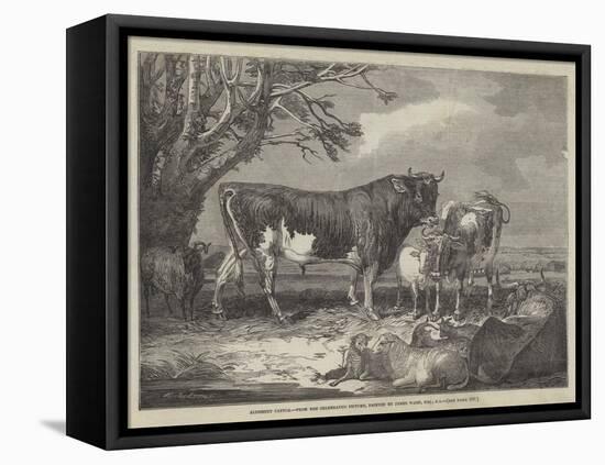 Alderney Cattle-James Ward-Framed Stretched Canvas
