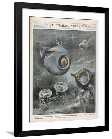 Photographic Print, , large