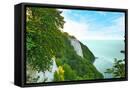 Framed Canvas