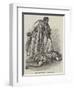 Aldridge, as Zanga, in The Revenge-null-Framed Premium Giclee Print