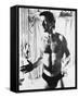 Alec Baldwin-null-Framed Stretched Canvas