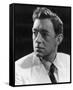 Alec Guinness - The Man in the White Suit-null-Framed Stretched Canvas