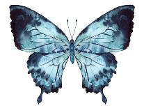 Butterfly Indigo Blue Watercolor-Alecs Chu-Mounted Art Print