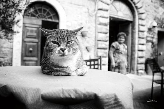 Photographic Print, , large