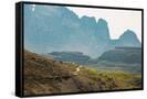 Canvas Black