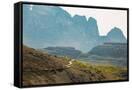 Canvas Black