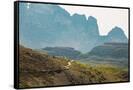 Canvas Black