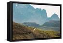 Framed Canvas