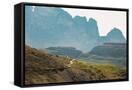 Canvas Black