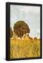 Essential Black