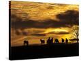 Stretched Canvas