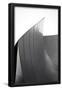Essential Black