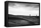 Framed Canvas
