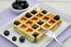 Poppy Seed Waffles with Ice Cream and Blueberries-ALein-Photographic Print