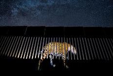 Image of a wild Jaguar projected on to US-Mexico border wall-Alejandro Prieto-Photographic Print
