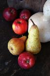 Pair, Apple and Other Fruits in Retro Style Poster Pictures-Aleksa_D-Mounted Photographic Print