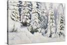 Stretched Canvas