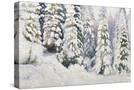Stretched Canvas