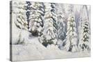 Stretched Canvas