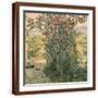 Brown Frame