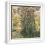White Frame