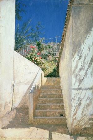 Steps in a Garden, Algeria, 1883