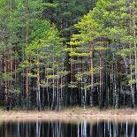 Landscape of Saimaa Lake from Above, Finland-Aleksey Stemmer-Photographic Print