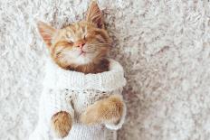 Cute Little Ginger Kitten Wearing Warm Knitted Sweater is Sleeping on the White Carpet-Alena Ozerova-Photographic Print