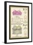 Alencon Lace and Regal Broadcloth Brassieres-null-Framed Art Print