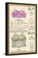 Alencon Lace and Regal Broadcloth Brassieres-null-Stretched Canvas