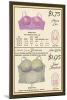 Alencon Lace and Regal Broadcloth Brassieres-null-Mounted Art Print