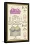 Alencon Lace and Regal Broadcloth Brassieres-null-Framed Stretched Canvas