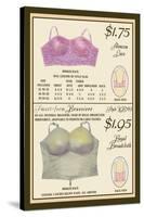 Alencon Lace and Regal Broadcloth Brassieres-null-Stretched Canvas