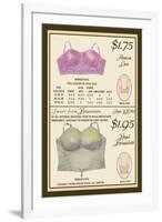 Alencon Lace and Regal Broadcloth Brassieres-null-Framed Art Print