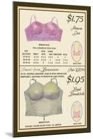 Alencon Lace and Regal Broadcloth Brassieres-null-Mounted Art Print