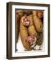 Alentejo, Estremoz, Portuguese Salami for Sale in Street Market in Alentejo, or Chourico, Portugal-Camilla Watson-Framed Photographic Print