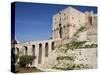 Aleppo Citadel, Syria-Ivan Vdovin-Stretched Canvas