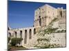 Aleppo Citadel, Syria-Ivan Vdovin-Mounted Photographic Print