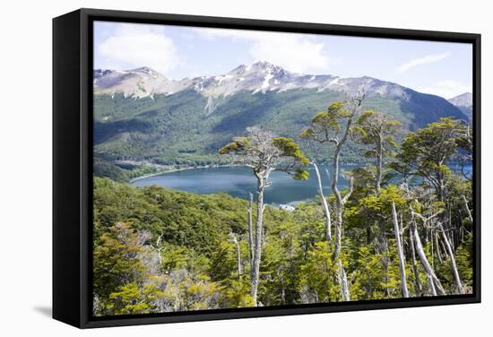 Alerces National Park, Argentina-Peter Groenendijk-Framed Stretched Canvas