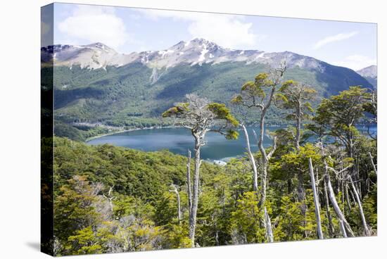 Alerces National Park, Argentina-Peter Groenendijk-Stretched Canvas