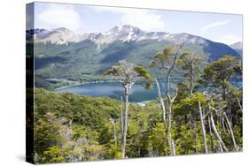 Alerces National Park, Argentina-Peter Groenendijk-Stretched Canvas