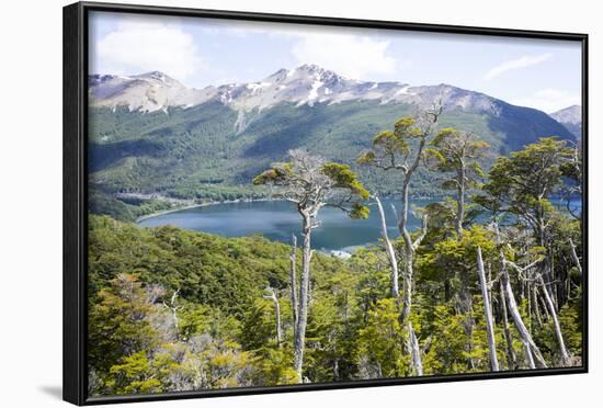 Alerces National Park, Argentina-Peter Groenendijk-Framed Photographic Print